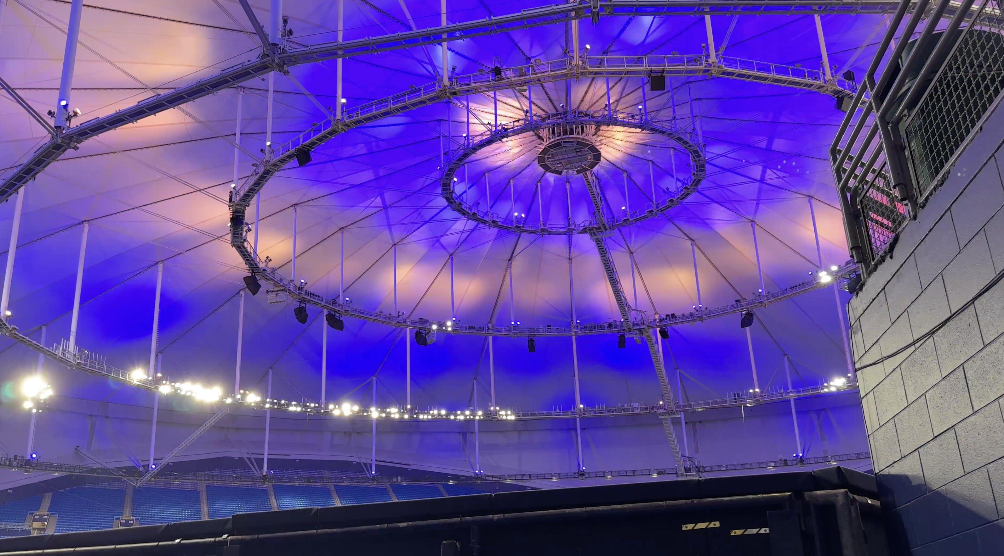 Rays fans celebrate as Tampa Bay sweeps Yankees, advances to ALCS — WFTS ABC Action News Tampa, Palo Alto Sports news
