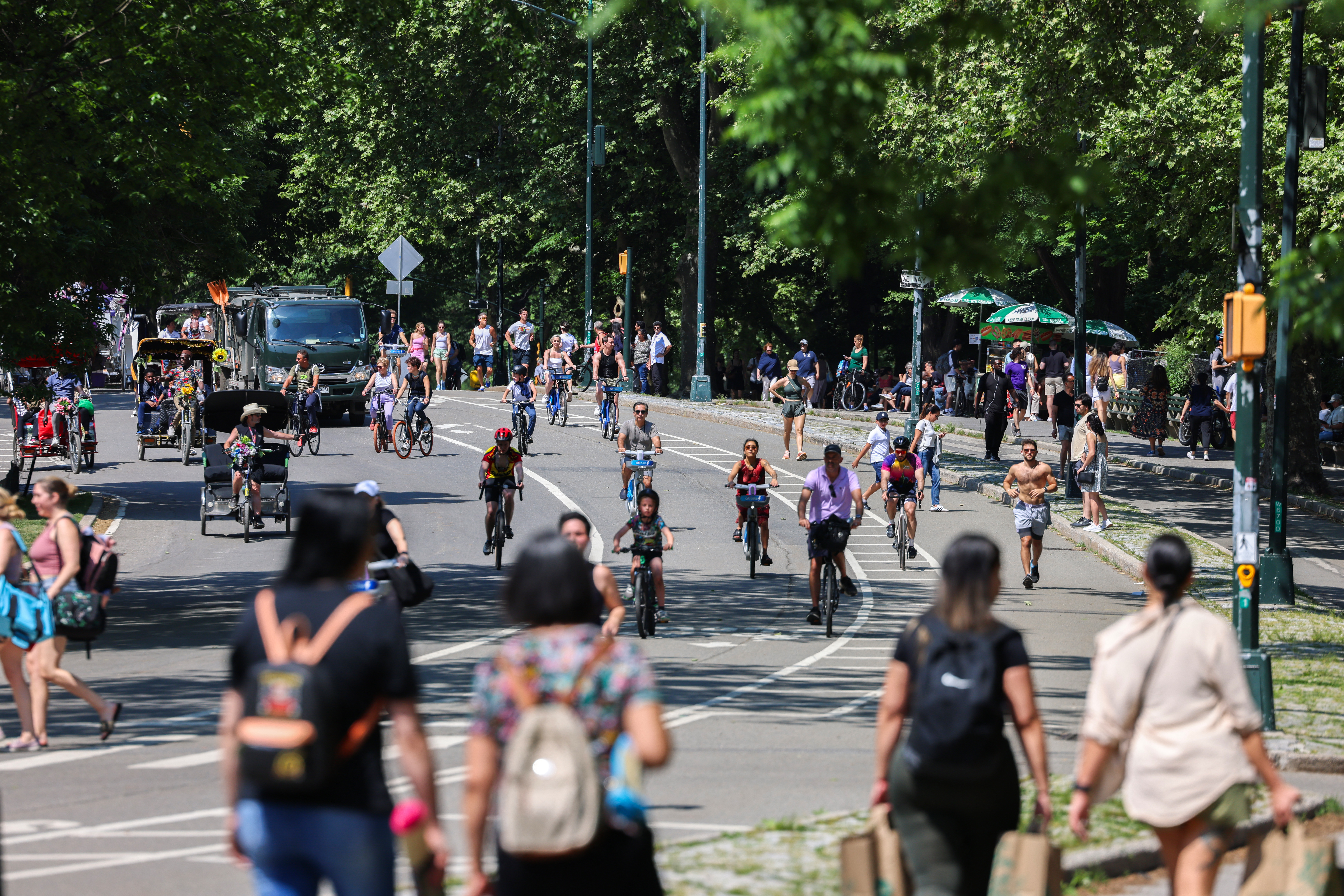 Central Park's car-free loop is busier than ever. Crashes keep piling up. — Gothamist, Palo Alto Community news