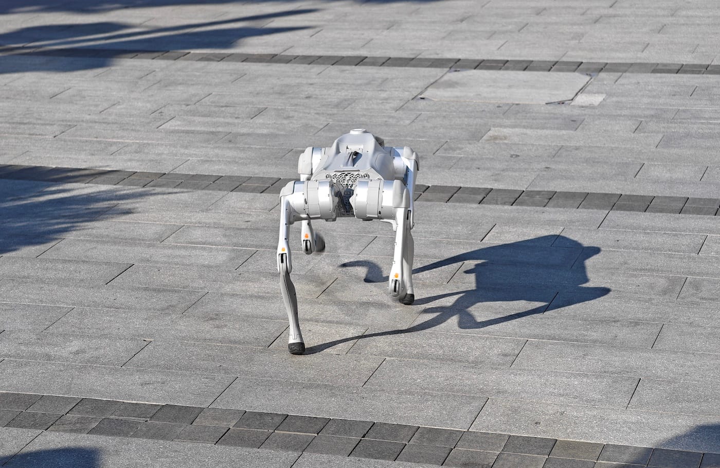 Robot dog walker in San Francisco with a cityscape background