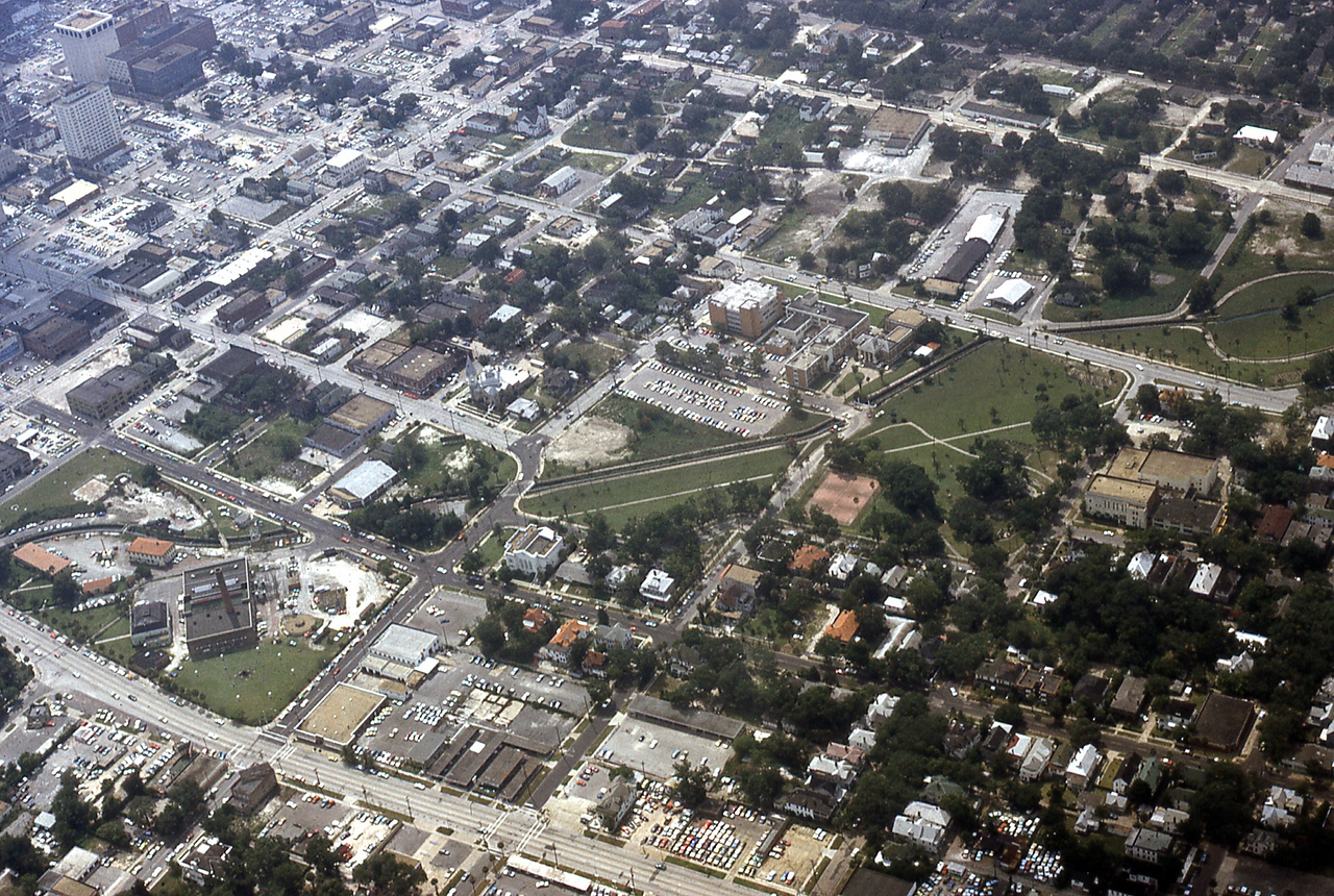 THE JAXSON | The oak tree that remembers Black Bottom — Jacksonville Today, Palo Alto Schools news
