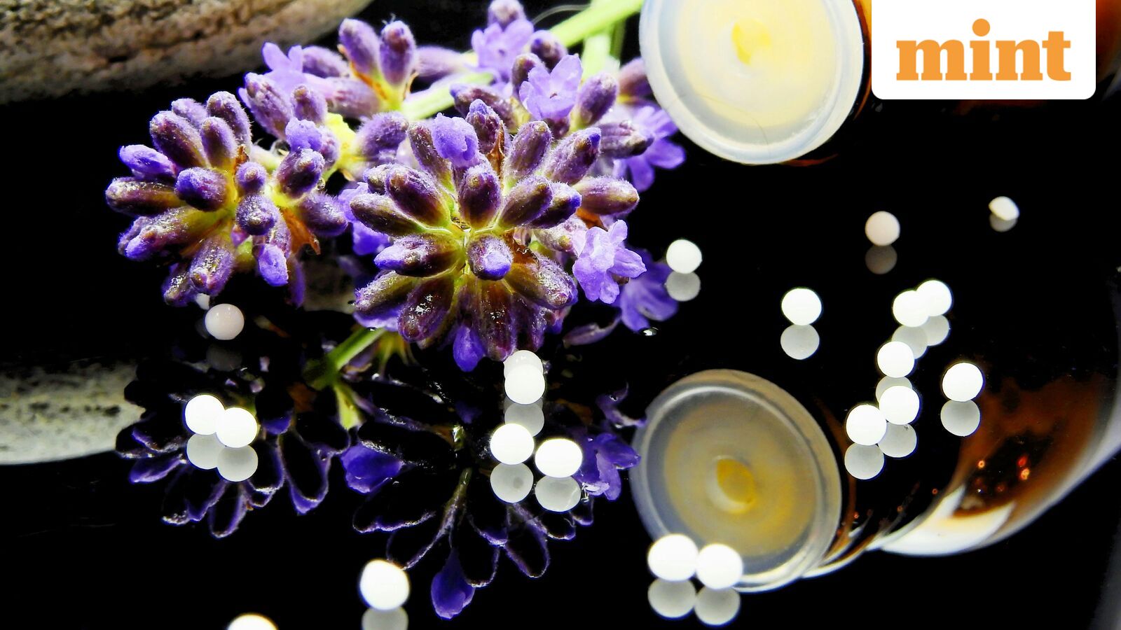 India plans subject-expert inspectors for homoeopathic medicine manufacturing units — Mint India, Palo Alto Technology news